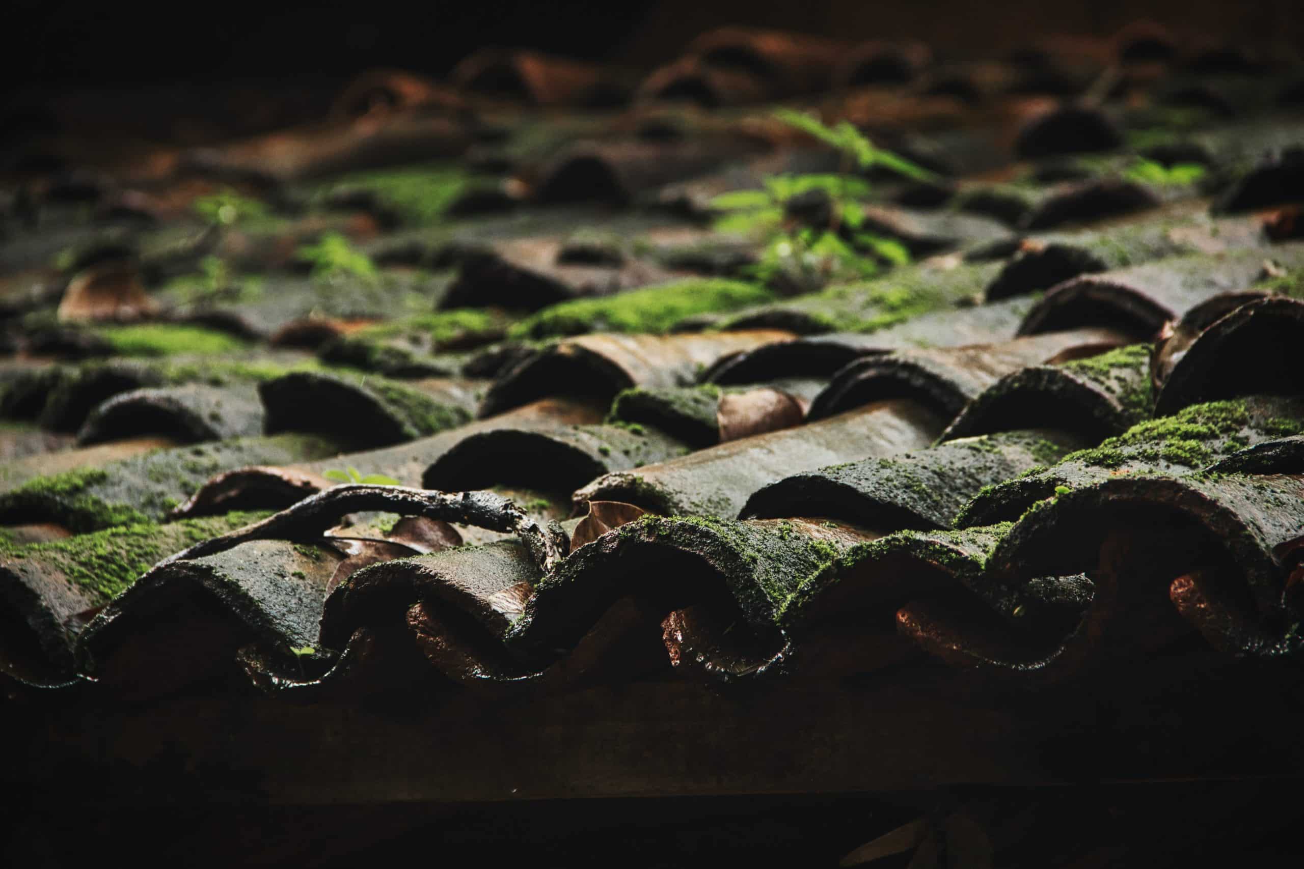getting a new roof