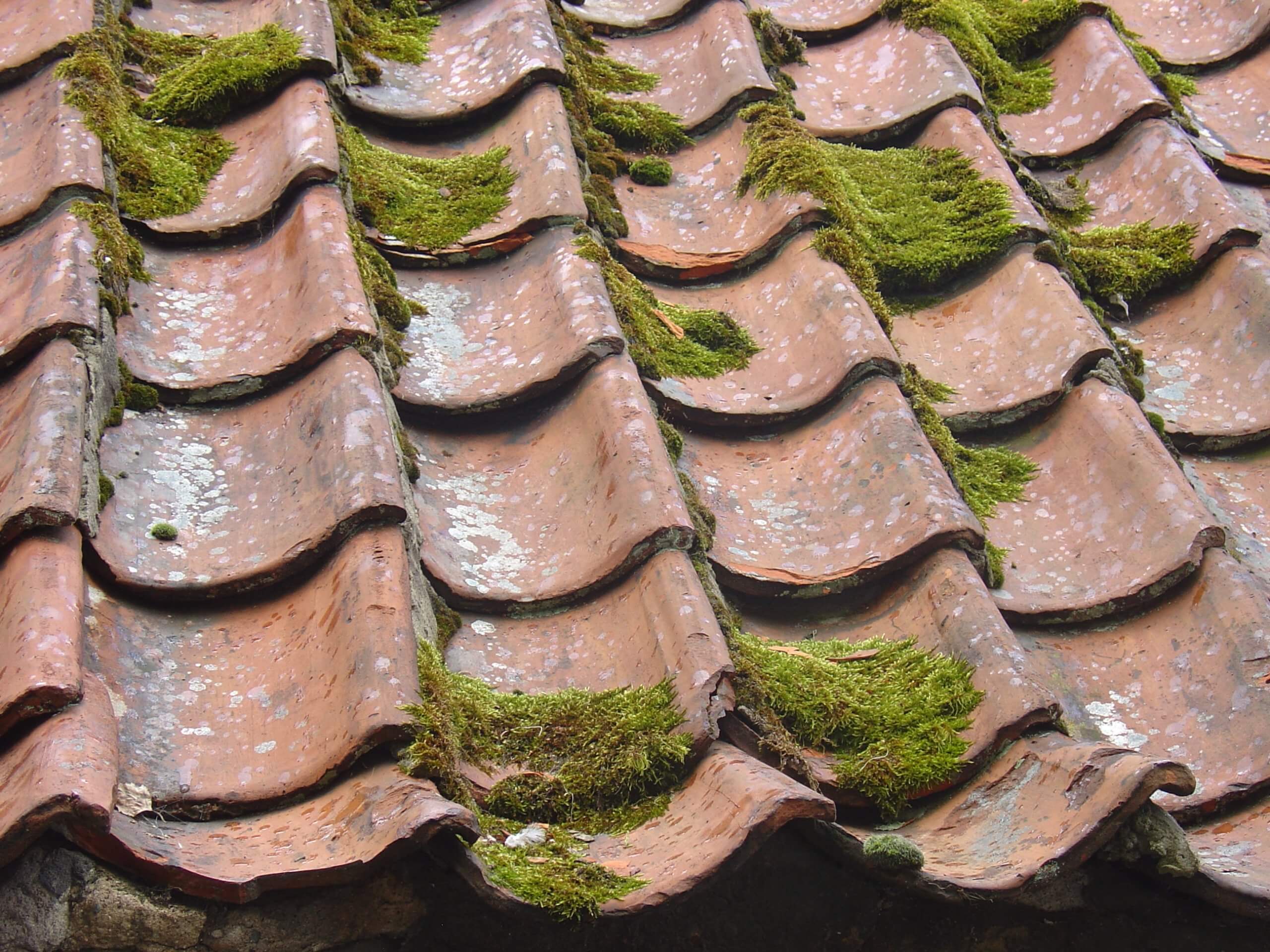 installing a new roof