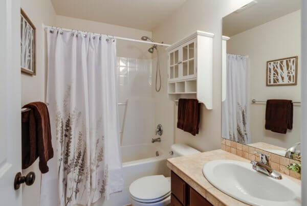bath tub renovation
