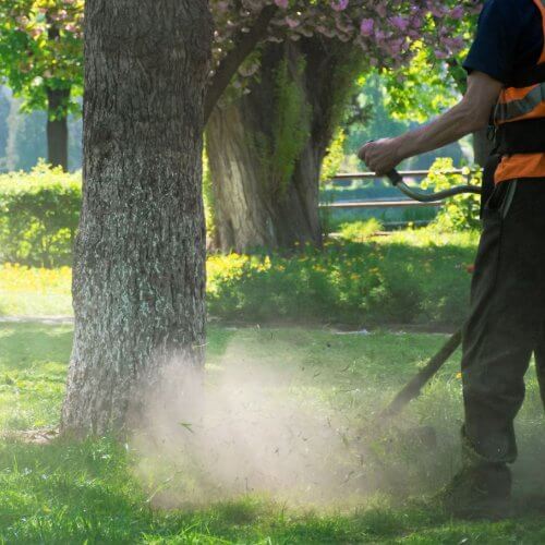 home improvement contractors Why You Should Hire a Professional Landscaping Service