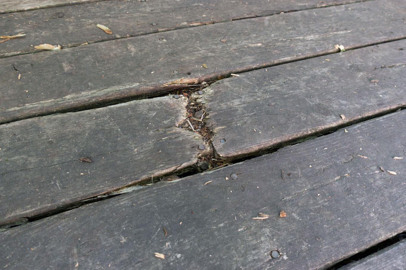 Common Warning Signs Your Deck Is Deteriorating