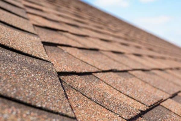 common roof problems homeowners likely to face