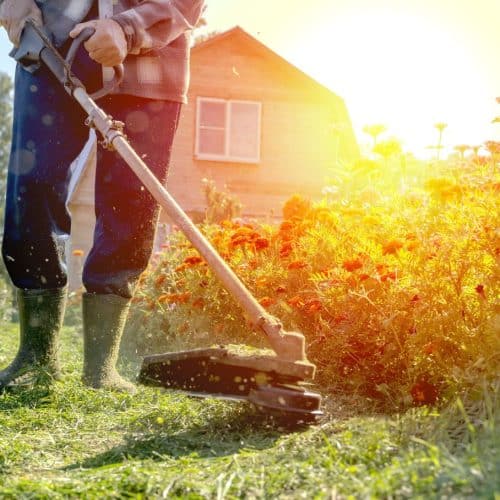 home improvement contractors Tips for Keeping Your Yard Looking Good This Spring