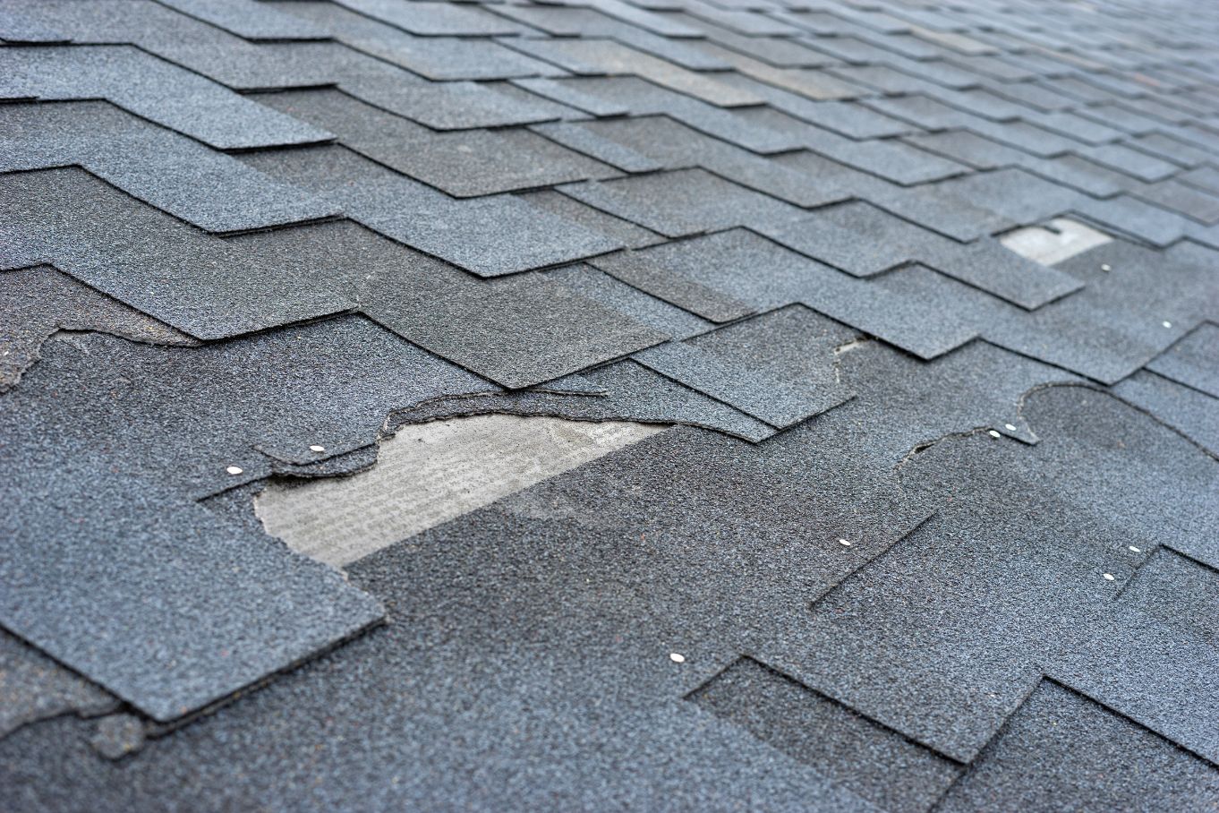 Roof Maintenance Tips Homeowners Should Know