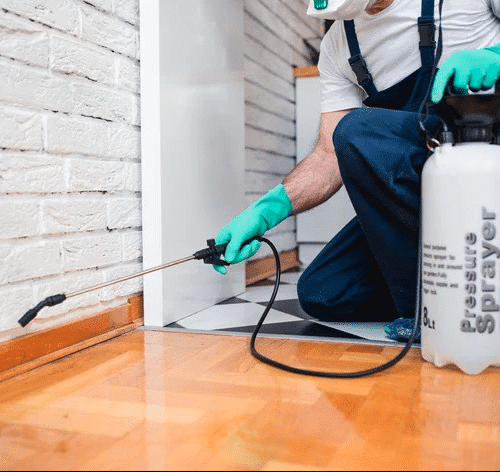 home improvement contractors pest control