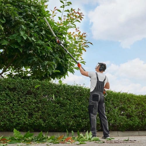 home improvement contractors 5 Best Ways To Take Care of Your Trees To Keep Them Healthy