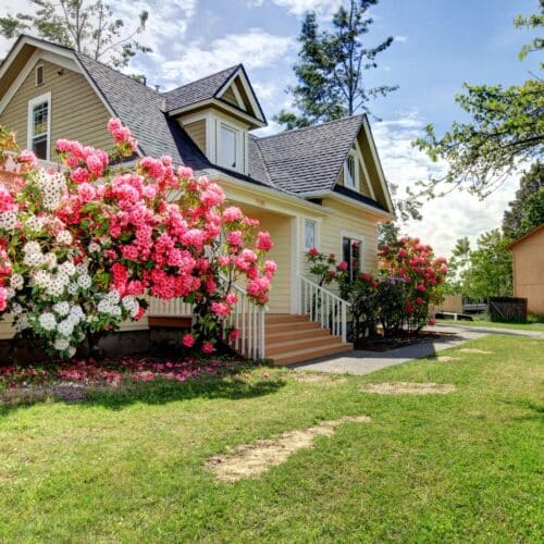home improvement contractors A side-view of a home with yellow siding. Next to the house sit large bushes of pink and white flowers.