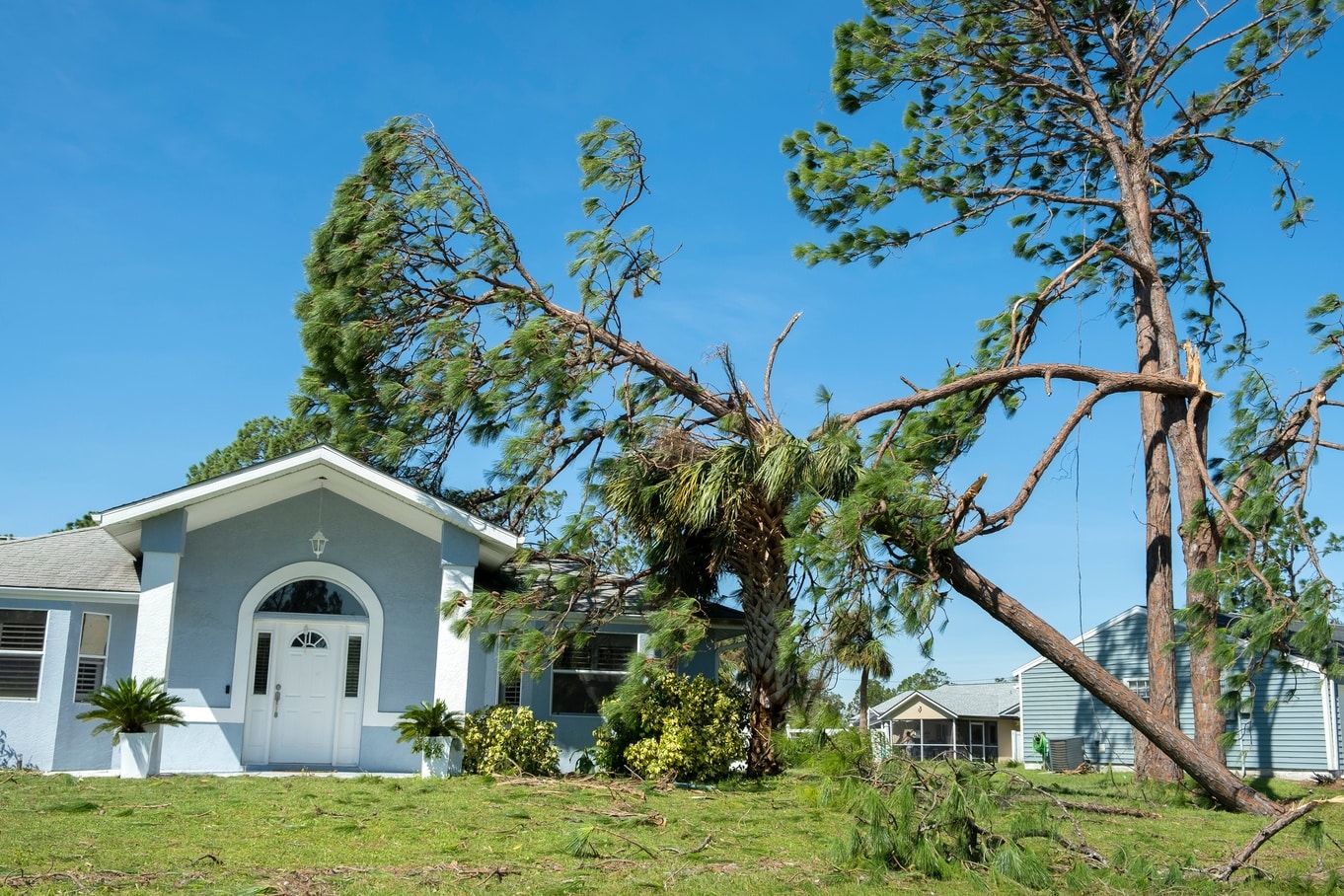 A fallen tree leans against a blue house with a white front door. Broken branches lay in the front yard.
