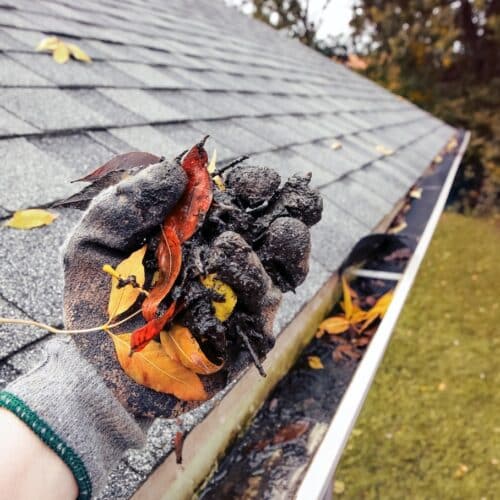 home improvement contractors A gloved hand holds wet leaves and gutter debris above a shingled roof, showing buildup removed during cleaning.