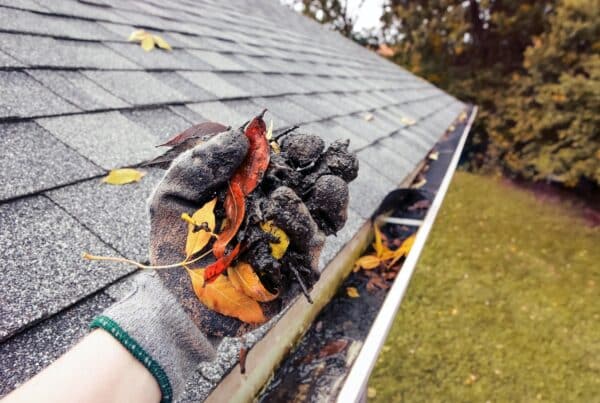 A gloved hand holds wet leaves and gutter debris above a shingled roof, showing buildup removed during cleaning.