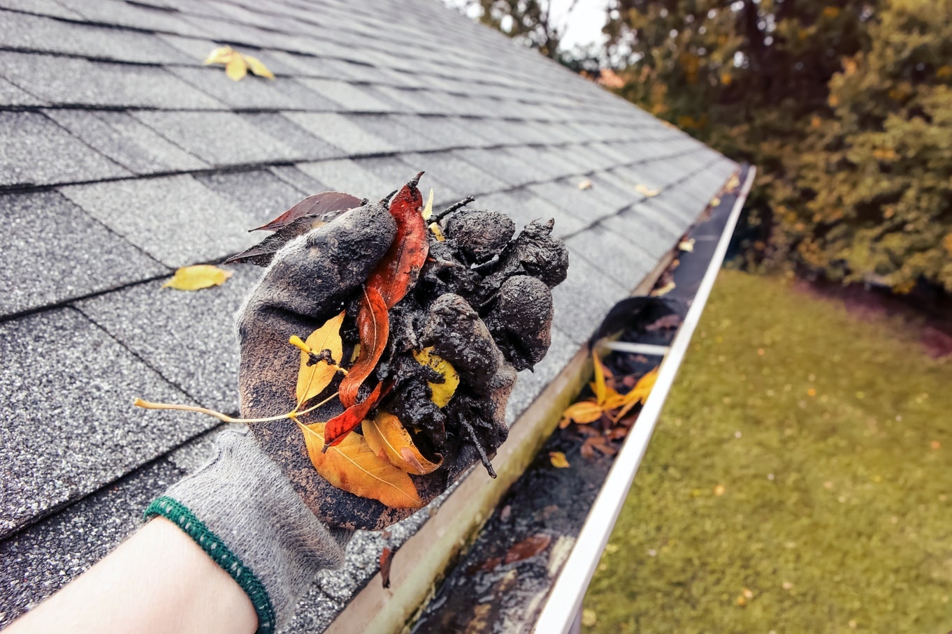 A gloved hand holds wet leaves and gutter debris above a shingled roof, showing buildup removed during cleaning.